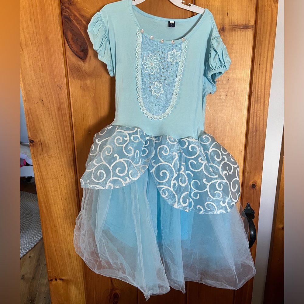 Cinderella  mini costume dress.